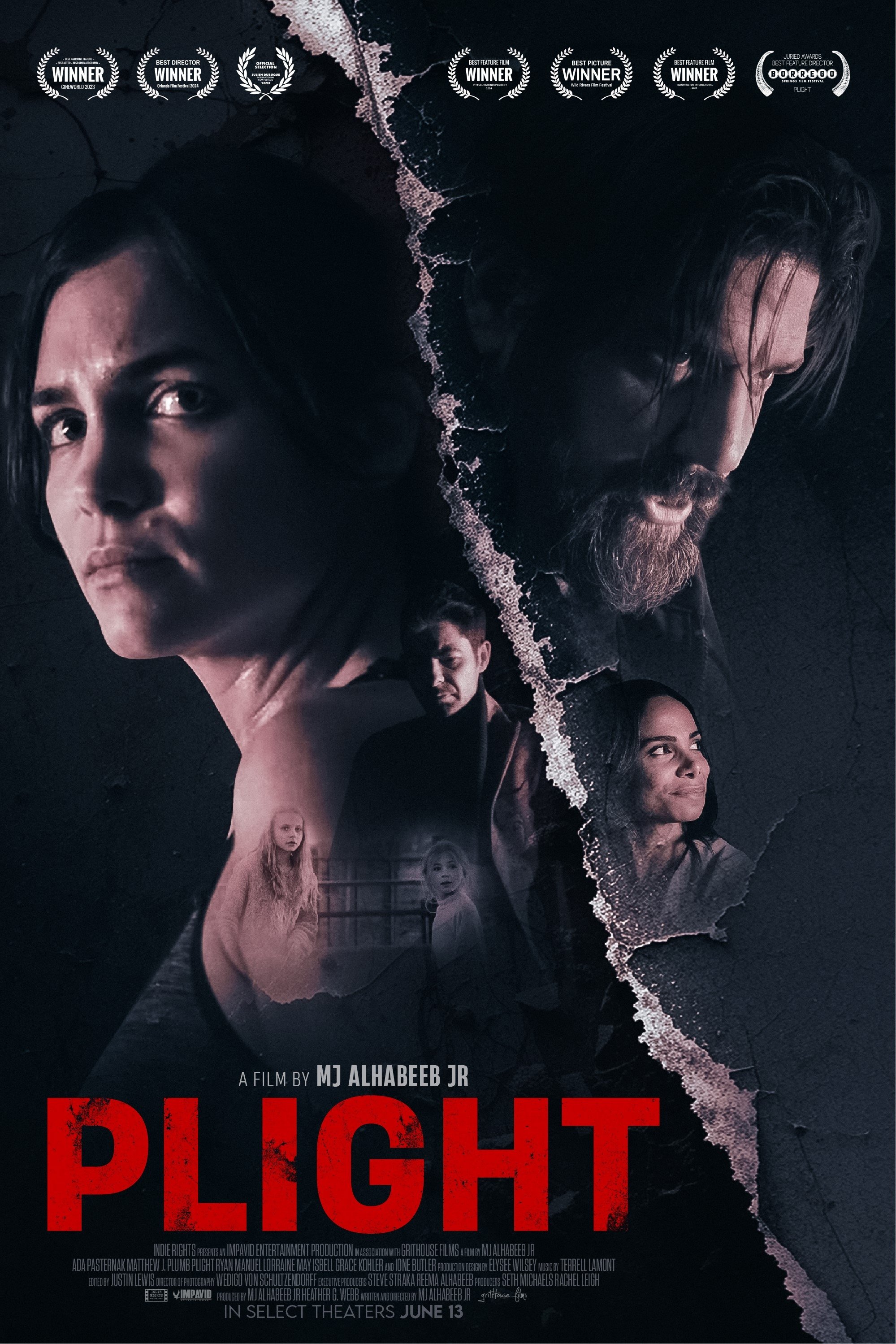 Plight Hindi Dubbed Movie Poster (2025)